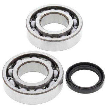 Kit roulements + spi de vilebrequin All Balls 24-1081 Suzuki RM-Z250
