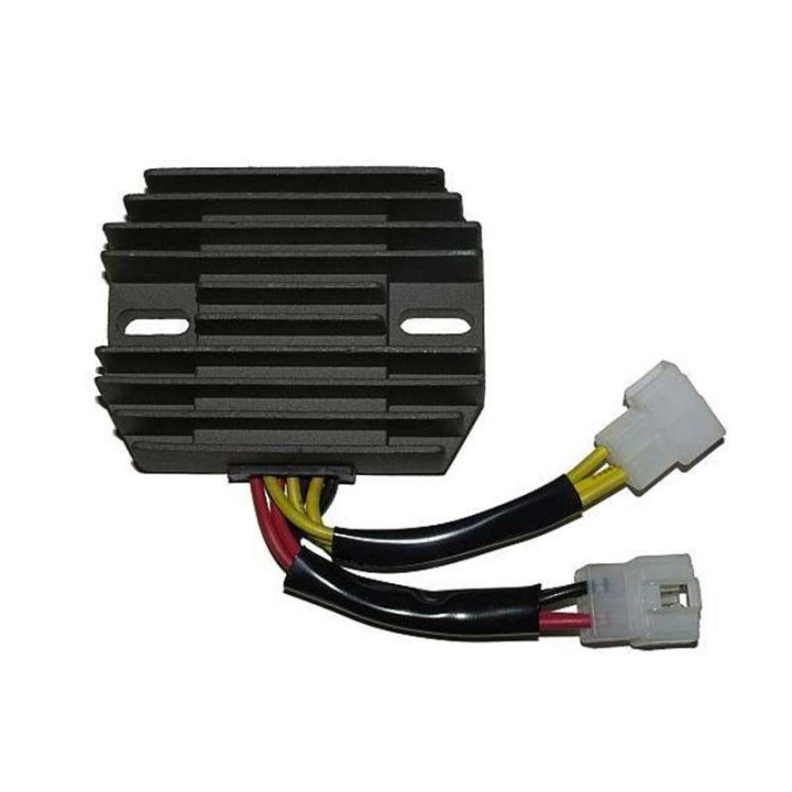 Regular Electrosport DAYTONA 675 / V-STROM 1000 03-07