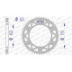 AFAM 48 teeth not 520 type 13508 Yamaha WR 125