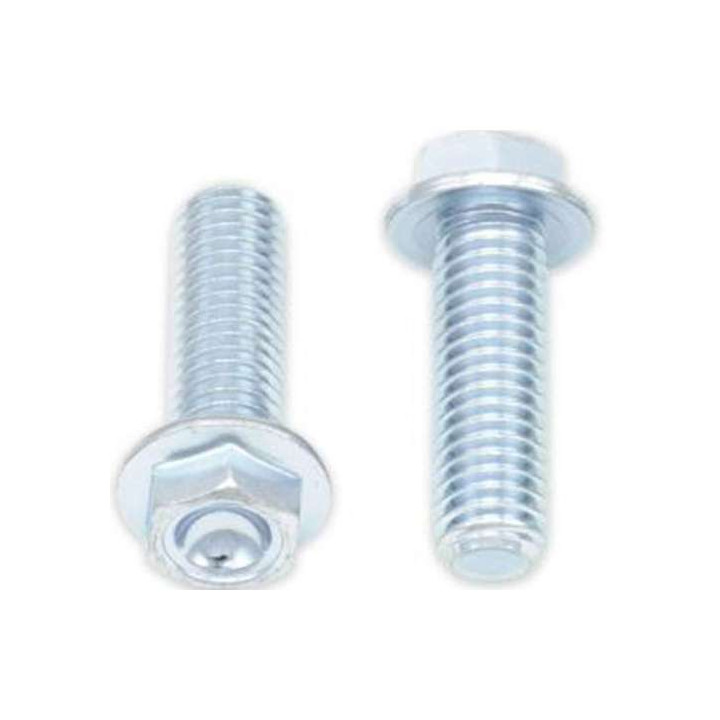 Vis hexagonale 10mm (x10) BOLT M8 x 1,25 x 25mm