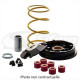 Variator Athena 6 pebbles Honda PCX 125