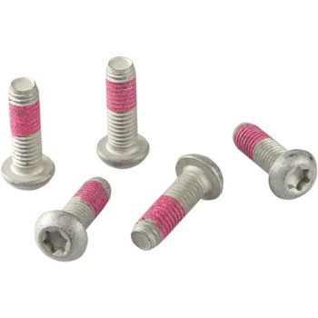 Brake disc bolt x5 TRW (MSS113-5) M8x25mm BMW AVANT