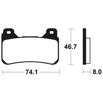 Plaquettes de frein racing Tecnium MTR309