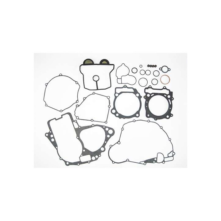 Full engine seals Tecnium 808595HC Suzuki RM-Z450