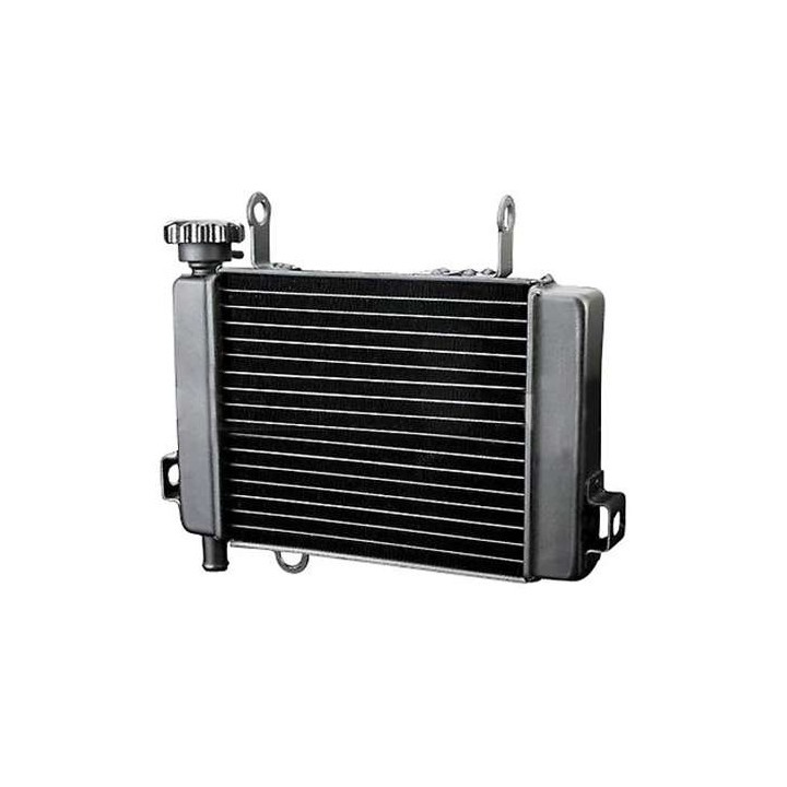 Radiateur d'eau adaptable Honda CBR125 (JC34/JC39)