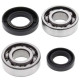 Kit roulements + spi de vilebrequin All Balls 24-1067 Suzuki LT50