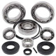 Kit roulement & joints de differentiel All Balls 25-2095 Kawasaki KRF TERYX 750