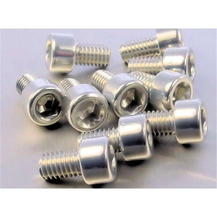 Vis BTR alu (x10) Pro-Bolt M6 10mm Argent
