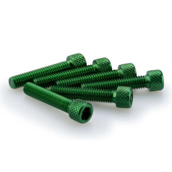 Puig M6x15mm BTR screws (x6)