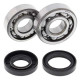 Kit roulements + spi de vilebrequin All Balls 24-1023 Yamaha YZ80/85
