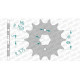 AFAM 12 teeth not 520 type 20313 Adly 300 Thunderbike