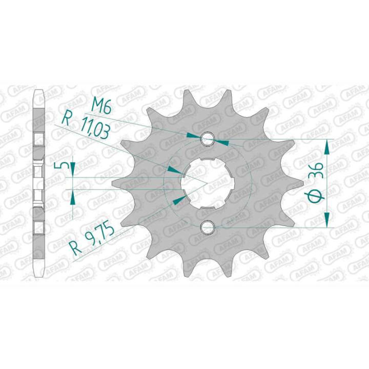 AFAM 12 teeth not 520 type 20313 Adly 300 Thunderbike