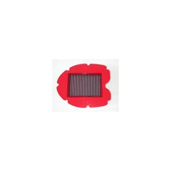 BMC TDM900 2002-05 air filter (ref. FM303/04)