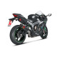 Complete AKRAPOVIC RACING Carbon line Kawasaki ZX-10R/ZX-10RR (S-K10R9-ZC) Complete AKRAPOVIC RACING Carbon line Kawasaki ZX-10R/ZX-10RR (S-K10R9-ZC)
