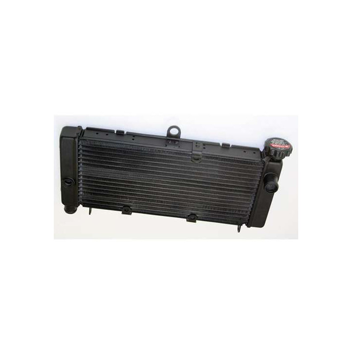 Water heater Bihr Honda CB600 HORNET 98-06