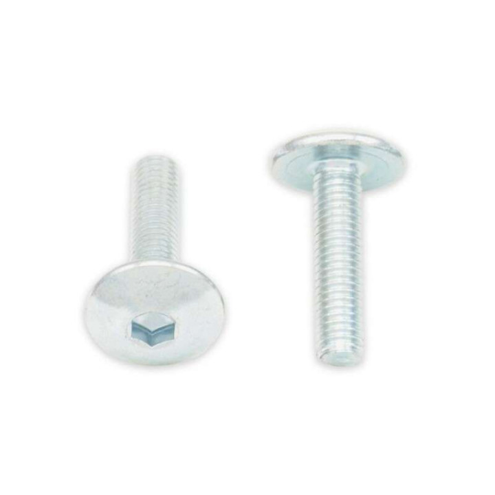Vis tête bombée (x10) BOLT M5x0,80x12mm