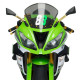 Ailerons latéraux Puig DOWNFORCE SPORT (3162) Kawasaki ZX-6R 600/636 09-