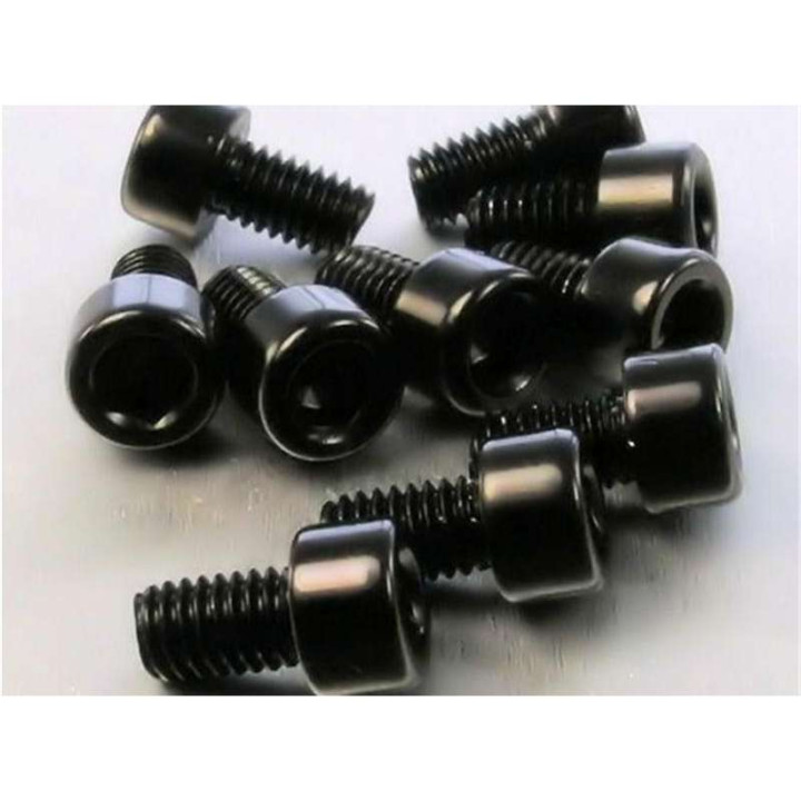 Vis BTR alu (x10) Pro-Bolt M6 10mm Noir