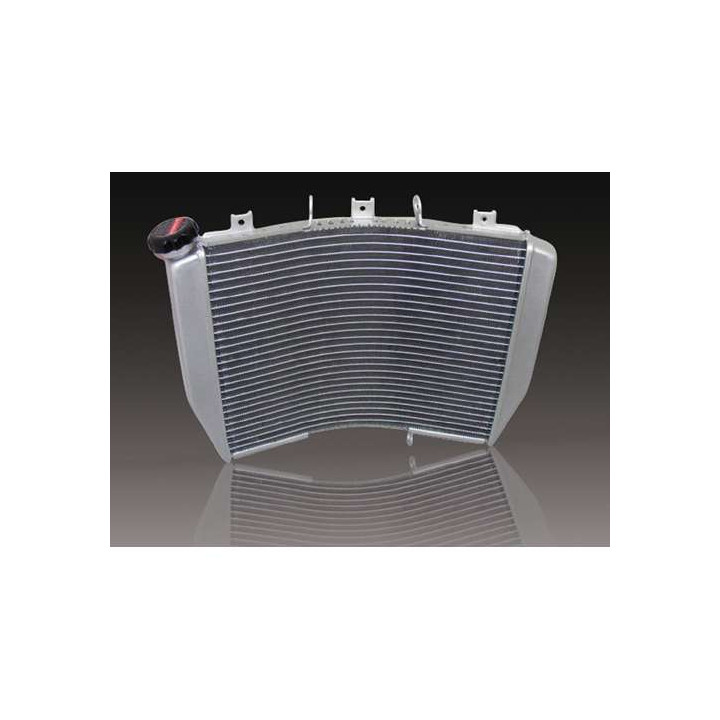 Radiateur d'eau Bihr Kawasaki ZX-6R