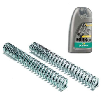Spring kit Bitubo + Motorex Racing Fork Oil 7.5W Suzuki 650 BURGMAN