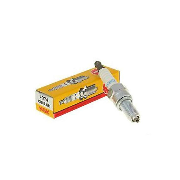 Standard spark plug NGK CR8EKB