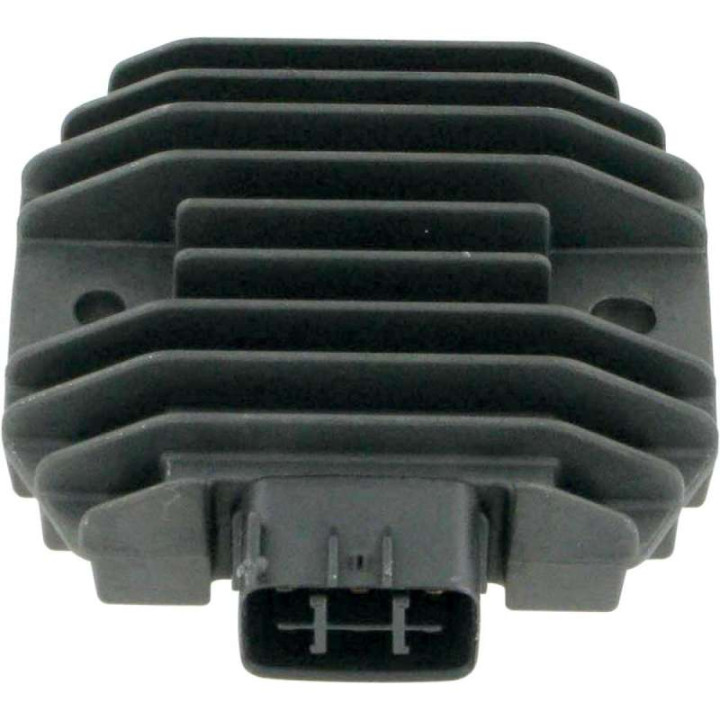 Rick's 10-419 regulator