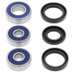 Kit roulements de roue All Balls 25-1095