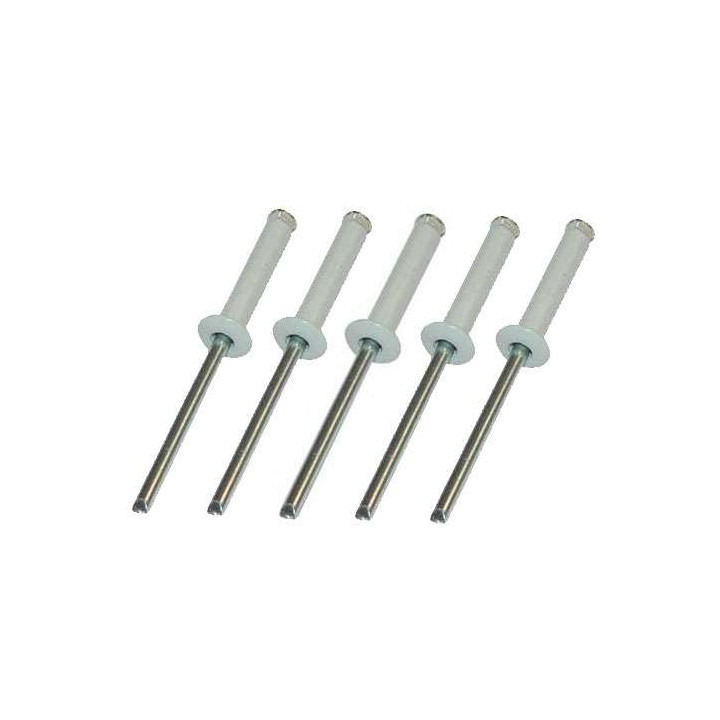 White pop rivets 4x16mm (x5) for license plate