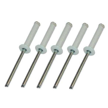 Rivets pop blanc 4x16mm (x5) pour plaque d'immatriculation
