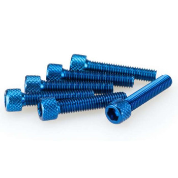 Puig M6x20mm BTR screws (x6)