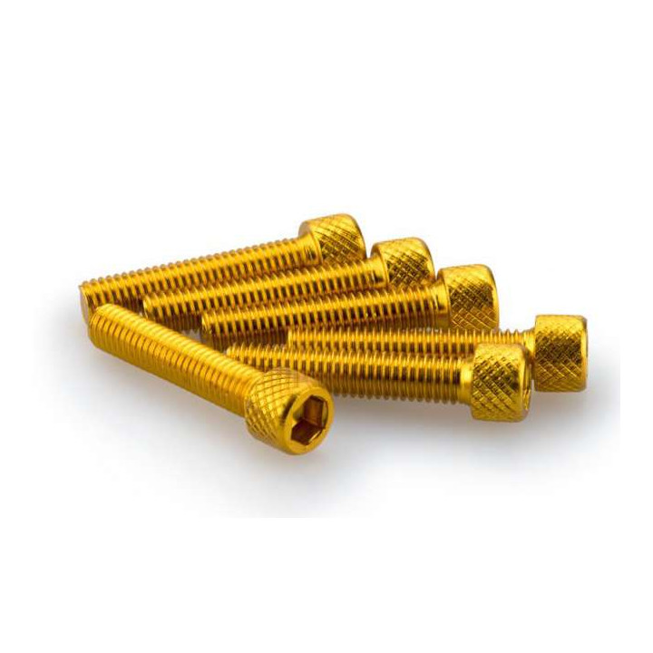 Puig M6x20mm BTR screws (x6)