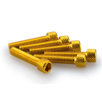 Puig M6x20mm BTR screws (x6)