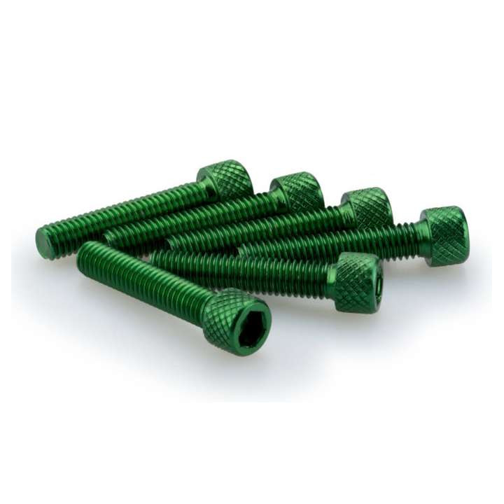 Puig M6x20mm BTR screws (x6)