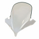 Bulle incolore Givi (D136ST) Yamaha FZ6 FAZER
