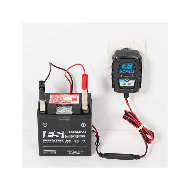 Chargeur de batterie Energy Safe SMART1 6/12V