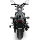 DENALI B6 brake light on plate (DNL.B6.10000) DENALI B6 brake light on plate (DNL.B6.10000)