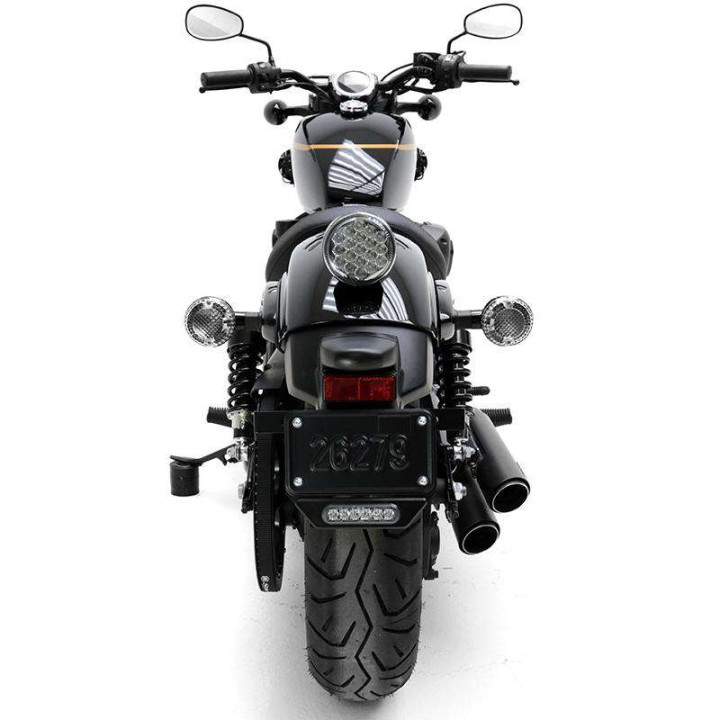 DENALI B6 brake light on plate (DNL.B6.10000) DENALI B6 brake light on plate (DNL.B6.10000)