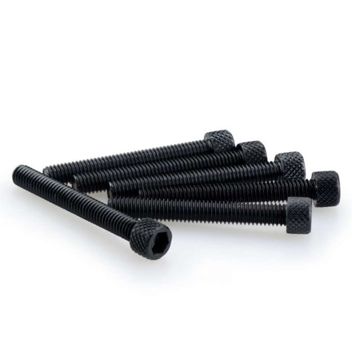 Vis BTR (x6) M6x45mm Puig