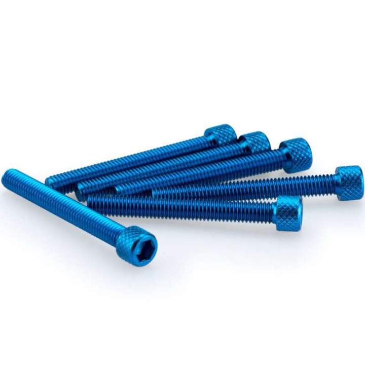 Vis BTR (x6) M6x45mm Puig