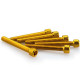 Vis BTR (x6) M6x45mm Puig