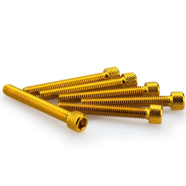 Vis BTR (x6) M6x45mm Puig