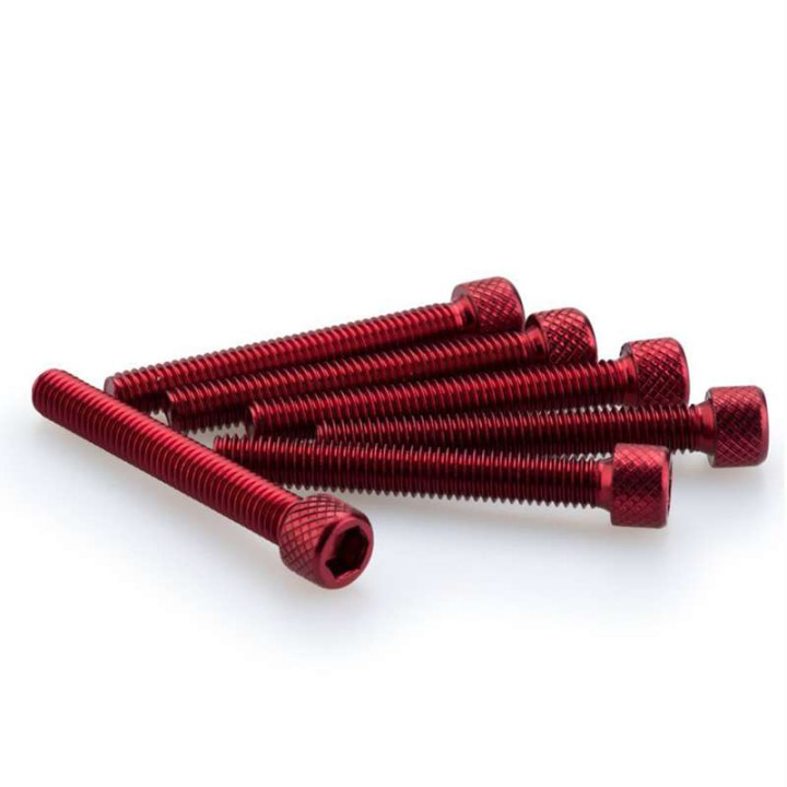Vis BTR (x6) M6x45mm Puig