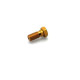 Speedbrakes single socket screw M10x1.25