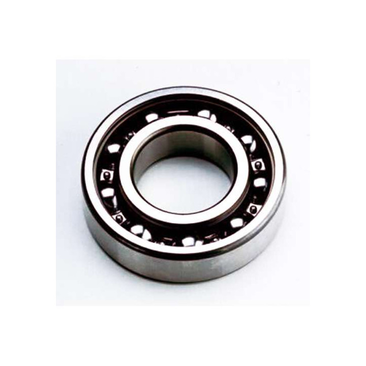 Vilebrequin wheel NTN 6206 C4 (ROTAX 122/123)