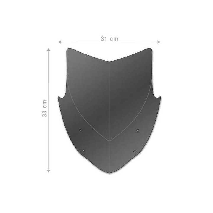 Saute-vent Barracuda AEROSPORT Kawasaki Z900 2020