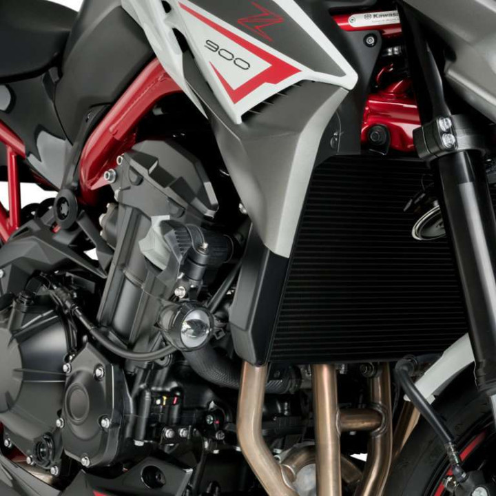 Tampons de protection Puig S19 (21240N) Kawasaki Z900