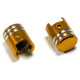 Bouchons de valve Chaft