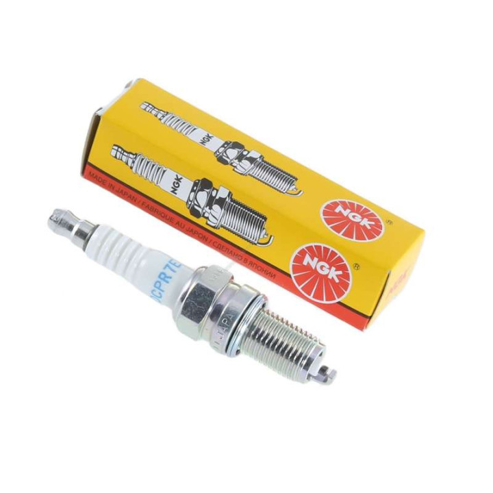 Standard spark plug NGK DCPR7E