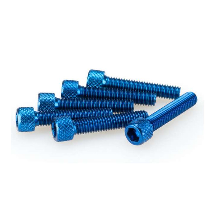 Puig M6x30mm BTR screws (x6)