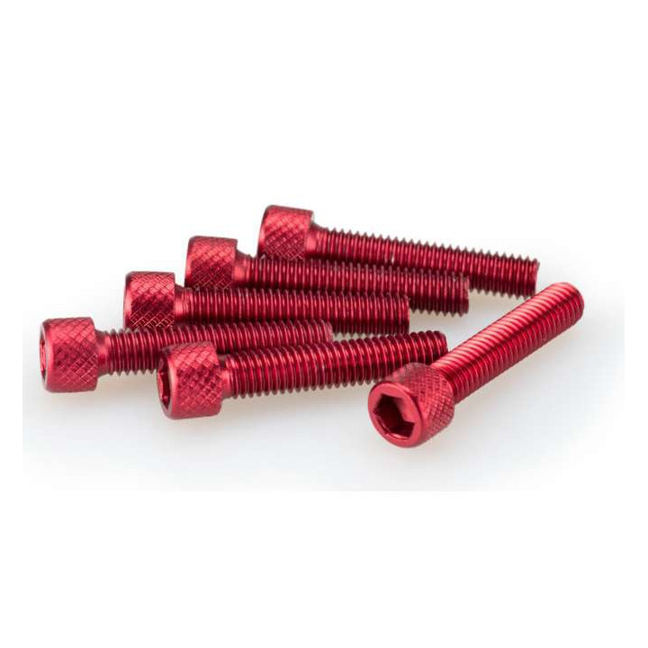 Puig M6x30mm BTR screws (x6)